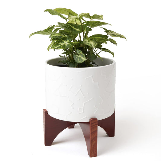 LA JOLIE MUSE Plant-Pots Flower Pots, 8 Inch Plant Pot Ceramic Planter with Stand Planters for Indoor Plants