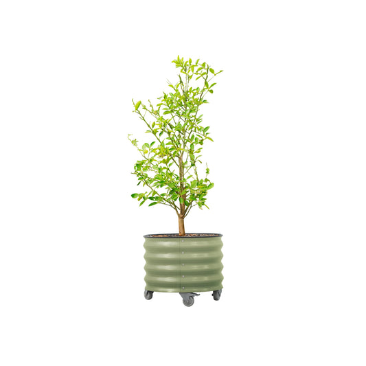 Rolling Metal Citrus Tree Planter Pot, 21″ Round Planter Box for Porch Patio & Backyard, 20 Gallon Large Planter Pot with Wheels for Growing Olive Trees Tomatoes Vegetables and Flowers, Olive Green