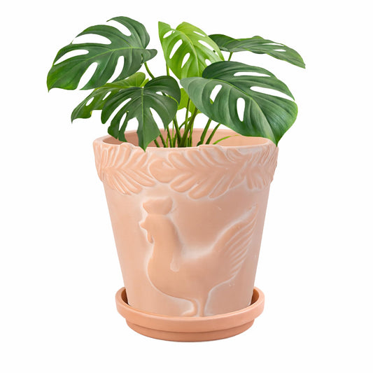FREEMOON Color-Changing Terracotta Plant Pot with Saucer, Natural Clay Planter with Drainage Hole, Visual Watering Reminder (All-Natural), Vintage Pattern for Indoor/Outdoor Plants, 5 Inch