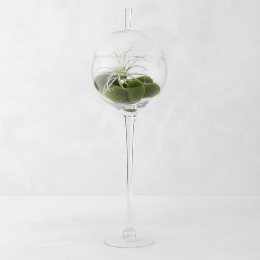 Z Gallerie Jules Glass Cloche, Hand-Blown Glasses Display Dome for Decorative Showcase Elegant Terrarium for Curated Home Decor, Artistic Canister for Sentimental Displays, Clear, 24"