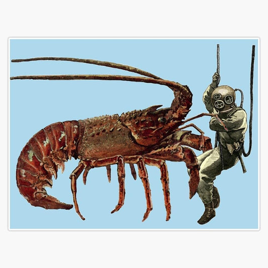 BKR Graphics 5" Vintage Helmet Diver Observing a Giant Lobster URM Sticker Decal Car Window Water Bottle