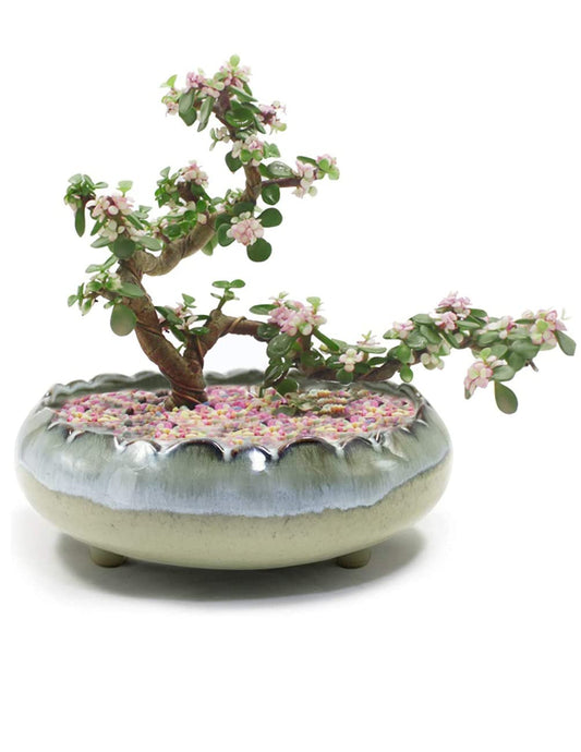 Dahlia 8.3'' Inch Large/Shallow/Wide Drip Glazed Ceramic Planter/Succulent Pot/Plant Pot, Gray