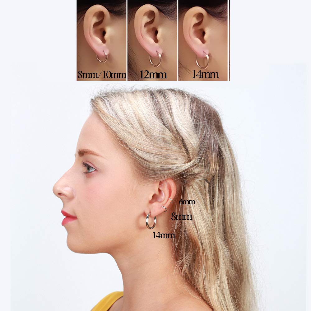 316L Surgical Stainless Steel Huggie Hoop Earrings 8mm Rose Gold Hypoallergenic Earrings Hoop Cartilage Helix Lobes Hinged Sleeper Earrings For Men Women(B04: 8mm Rose Gold(THK 2.0mm))