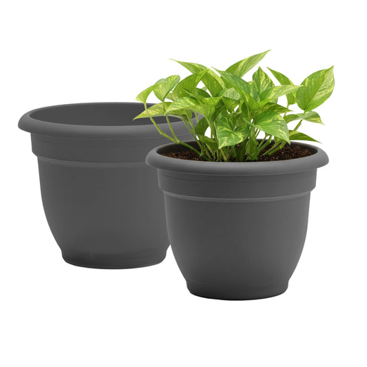 Bloem Ariana 12" Self-Watering Plastic Planter - Rolled Rim Indoor/Outdoor Garden Pot, Charcoal, 2-Pack