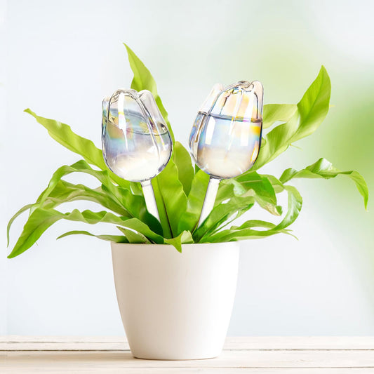 2Pcs Tulips Self Plant Watering Globes, Glass Self Watering Planter Insert, Automatic Plant Waterer Devices Indoor Outdoor (Transparent)