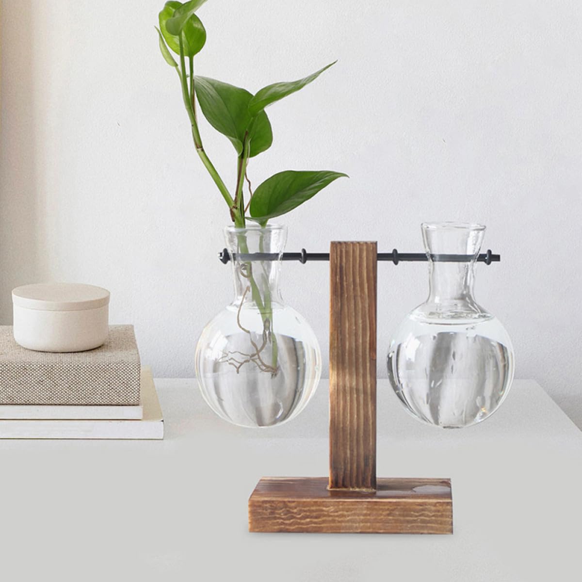 MINAOLULUS 3pcs High Borosilicate Glass Plant Pot with Wood Stand, Desktop Propagation Vase for Hydroponic Plants and Flowers, Glass Terrarium Planter for Home Décor
