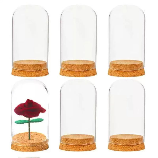 10X Da30mm Glass Bottle Terrarium Jar Cork Base Dome Dust Cover DIY Specimen Succulent Plant Micro Landscape Flower Vase Display(30x80cm)