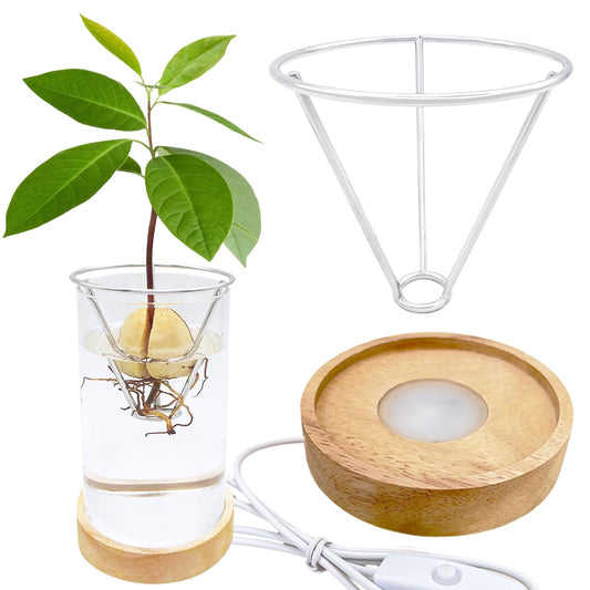 Avocado Vase, Avocado Seed Starter Vase with Wood Multicolor LED Light Base, Avocado Growing Kit with Plant Support, Acorn vase, propagation stations for Forcing Hyacinth (Stainless Steel Silver)