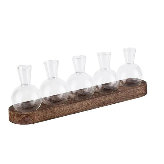 BLWOTMOR Plant Terrarium Desktop Glass Glass Vase
