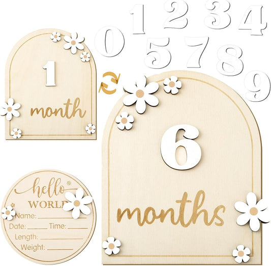 Baby Monthly Milestone Cards with Hello World Newborn Sign, Daisy Baby Milestone Signs Baby Monthly Milestone Wood