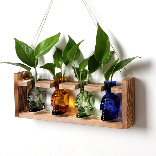 Plant Propagation Stations Halloween Skull Plant Terrarium Kit Glass Vases Gift for Father Air Planter Home Office Decor