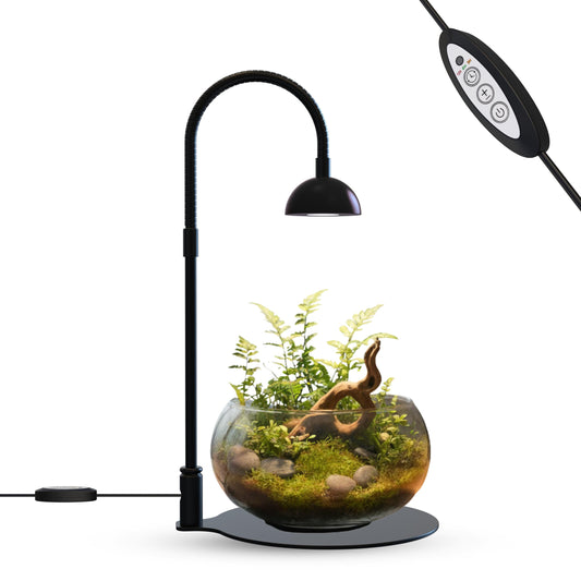 BoostGro Desktop Grow Lamp Terrarium Light Plant Light on Table with Flexible Gooseneck Lamp for Terrarium Kitchen Vetegable Succulent Lamp with Auto Timer 3/6/12Hrs, 4 Brightness Levels (Black)