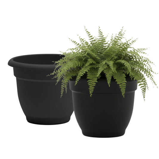 Bloem Ariana 12" Self-Watering Plastic Planter - Rolled Rim Indoor/Outdoor Garden Pot, Black, 2-Pack