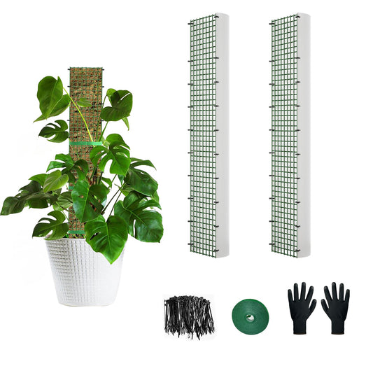 24" Metal Moss Pole, D Shape Sphagnum Moss Pole, Moss Poles for Climbing Plants, Monstera, Indoor Climbing Plants (2Pcs 24")