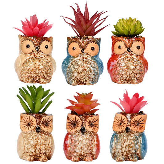 ROSE CREATE 6 Pcs Mini 2.5 Inches Colorful Owl Pots, Little Ceramic Succulent Owl Planters with Drainage Holes