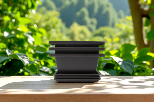Bonsai Training Containers with Humidity Trays, 6.5 Inch Square Plastic Planter Pots for Garden, 3 Pack for Succulents, Small Flowers and Plants