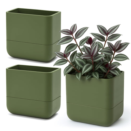 Phoenix Vine 6.5 Inch Wall Mounted Self-Watering Planter Pot for Indoor Houseplants and Herbs | Hanging Planter for Window Sills, Bathroom Walls, Home & Office Décor, Olive, Set of 3, 01-C-F-3