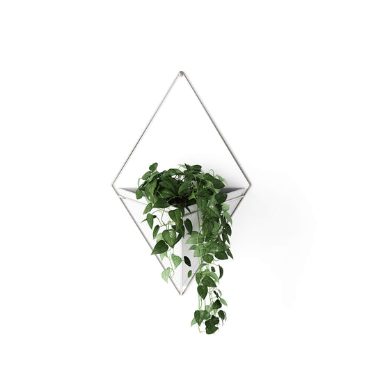 Umbra Trigg Hanging Planter Vase Wall Decor, Pot and Container for Succulents, Cactus, Faux Plants, and More, Large, White/Nickel