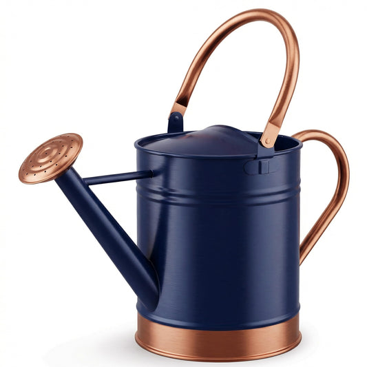 Gardenised 1 Gallon Galvanized Metal Watering Can with Removable Long Spout & Sprinkler Head for Indoor & Outdoor Use Ideal for Garden Flowers Potted Plants Houseplants Modern Home Accessories, Blue