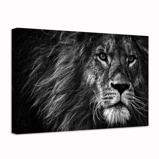 Nachic Wall Animal Painting Wall Art Black and White Lion Portrait Picture Prints Wildlife Canvas Artwork Modern Home Office Bedroom Wall Decor Ready to Hang 24x36inch
