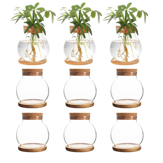 CHPINDAM Plant Propagation Station,Hydroponic Glass Container Vase Jars, with Wooden Saucer for Desks, Houses, Garden Decorations, Home Kitchen Decorations and Gifts for Plant Lovers (9)