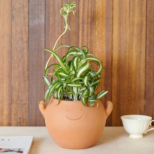 Bamworld Smiley Face Planter Pot Cute Plant Pots Small Plant Pot with Drainage Holes Gifts for Plant Lovers Succulent Pots Terracotta Planter for Indoor Outdoor Funny Planters Power Hands Home Decor