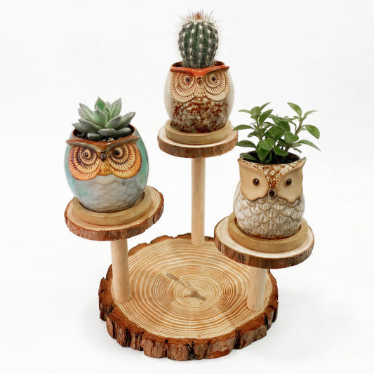 2.5"mini ceramic Cute Owl Animal Succulent Flower Pot Outdoor Bamboo Wooden Small Planter Stand Gift Set for Home,Office,Living Room,Bedroom Decoration,Windowsill,Indoor Desk,Kitchen Decor (3 Tier)