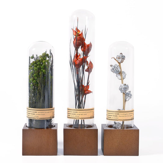 3Pcs Dried Flower Decor,Knick Knacks for Shelves,Cool Stuff for Bookshelf,Small Plants Decor for Office Shelves,Natural Green Plants Boho Shelf Decor,Apothecary Decor,Unique Gifts for Women,Friends