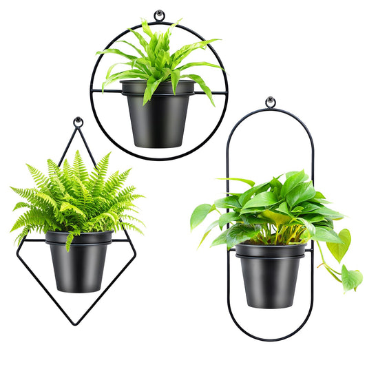 HemePaha Geometric Wall Planters for Indoor Plants Set of 3 Black Metal Wall Mounted Plant Holder (Diamond & Oval & Round Shapes) with 5 Inch Flower Pots, Modern Hanging Planters for Indoor Decor