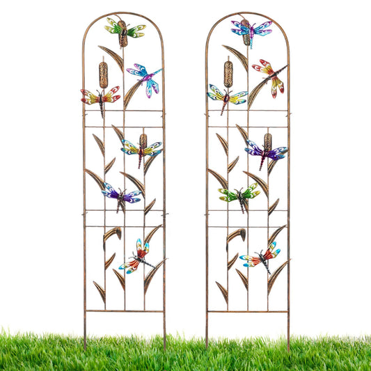 2 Pack Metal Garden Trellis with Colorful Dragonfly 60 Inch High Outdoor Decoration Arched Fence Trellis for Climbing Plants for Patio, Lawn, Yard, Backyard, Wall Brackets