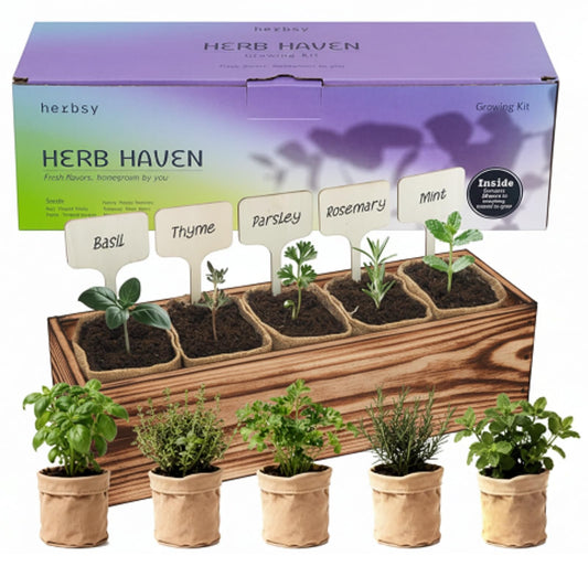 5 Herb Garden Kit with Wooden Box – Basil, Thyme, Parsley, Rosemary, Mint – Windowsill Herb Garden for Kitchen – Mother’s Day Gift for Mom, Gardening Gift for Women – Birthday Housewarming