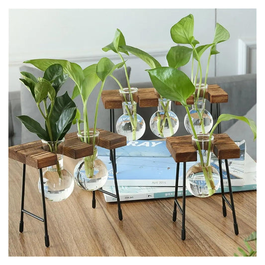 Vintage Bonsai Flower Pot Hydroponic Plant Vases Glass Vase Terrarium Tabletop Tray Wooden Frame Home Decor(Double Bottles)