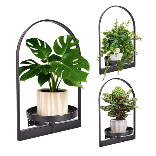 3 Pack Wall Plant Holder for Indoor Plants, Metal Wall Mounted Plant Shelf for Small Pots, Modern Arch Hanging Wall Planter Display with Hooks, Plant Frame Wall Decor for Living Room, Bedroom, Black
