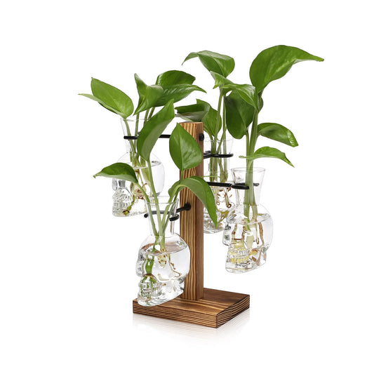 Plants Propagation Stations Skull Glass Propagation Birthday Gift for Women Garden Plant Lovers - 4 Skull