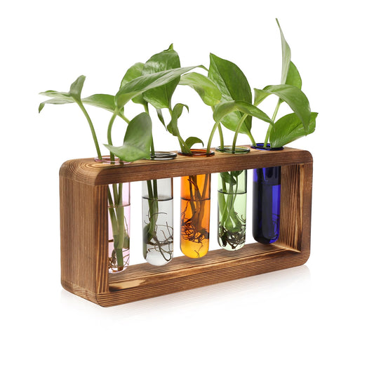 Glass Plant Propagation Station with 5 Test Tubes Colorful Planter Vase Birthday Gifts for Women in Wooden Stand