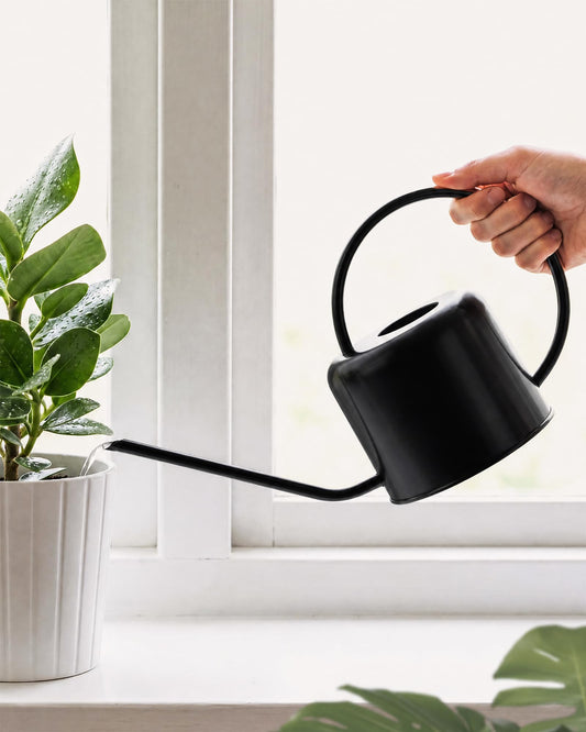 Bamworld Metal Watering Can Indoor Plants 1L 33oz Black Stainless Steel Watering Can with Long Spout for House Potted Plants Succulents Bonsai Garden Flowers