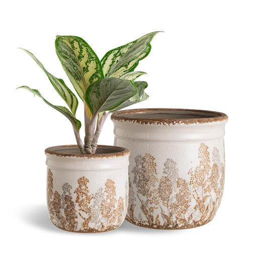 SURE YUESI Set of 2 Ceramic Planters 4.7” & 5.7”, Vintage Brown Rustic Flower Pots Without Drainage Hole, Decorative Indoor Plant Pots for Home Decor, Living Room
