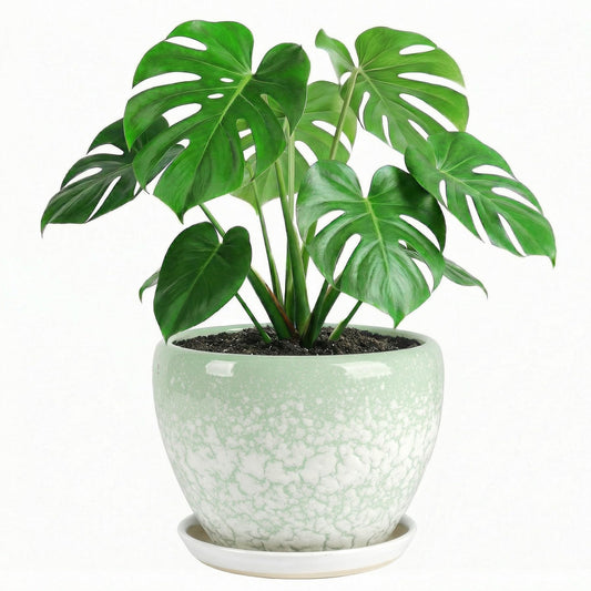 TOSELBAI 10.2 Inch Ceramic Planter with Saucer Leak-Proof Mesh &Drainage, Round Plant Pot with Gardening Gloves for Indoor Outdoor Plants (Jade Green)