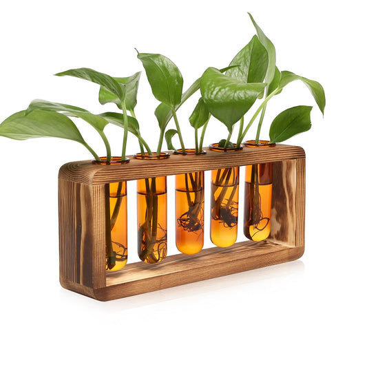Glass Plant Propagation Station with 5 Test Tubes Colorful Planter Vase Birthday Gifts for Women in Wooden Stand