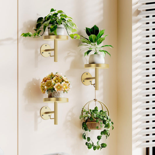 YUOROS 3 Pack Wall Plant Holder Stand Wall Planters for Indoor Plants Hanging Window Plant Hanger Decor (Gold)