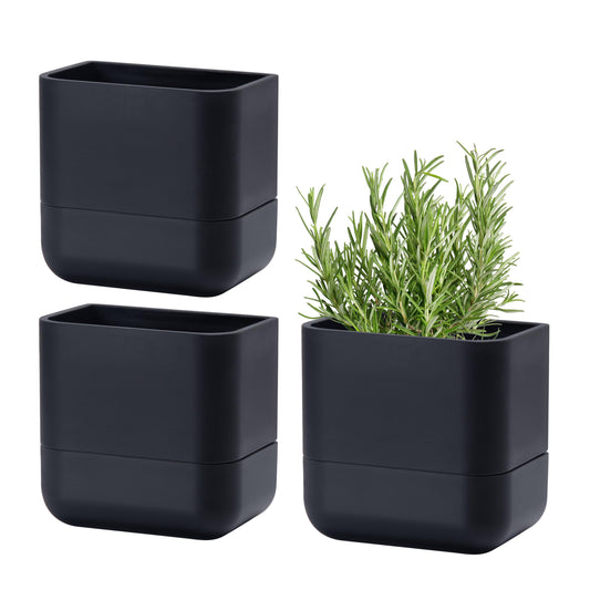 Phoenix Vine 6.5 Inch Wall Mounted Self-Watering Planter Pot for Indoor Houseplants and Herbs | Hanging Planter for Window Sills, Bathroom Walls, Home & Office Décor, Black, Set of 3, 01-C-E-3
