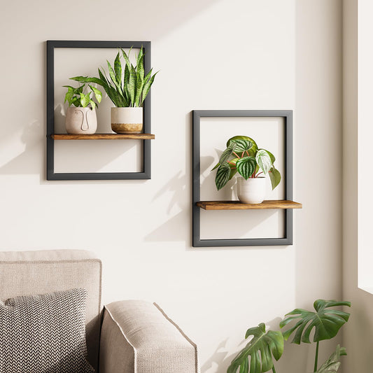Bamworld Wall Plant Holder Hanging Planters for Indoor Plants Frames Decor Wall Planters for Small Pots Floating Shelves for Living Room Window