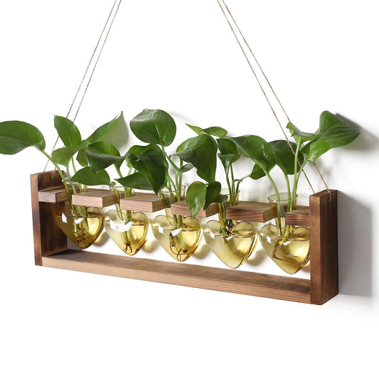 Plant Terrarium Hanging Propagation Stations Gift for Women Air Plants Holder with Wooden Stand Heart Glass