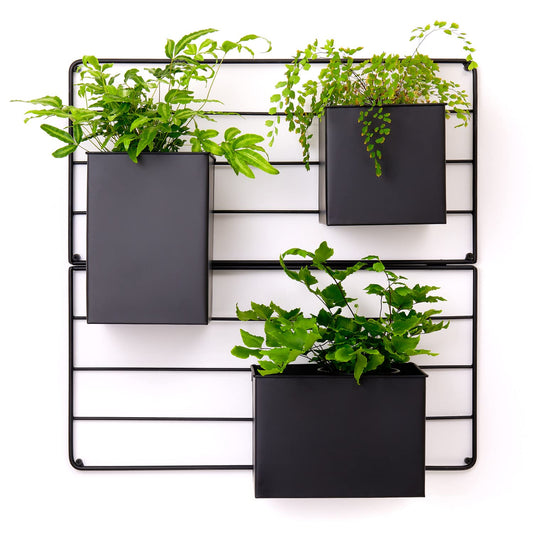 KASSELL Vertical Garden Wall Planter. Wall Mounted for Indoor Outdoor. All Metal Black Vertical Planter with No Assembly Required. Planter for Indoor Plants Flowers, Herbs, Succulents and Plants