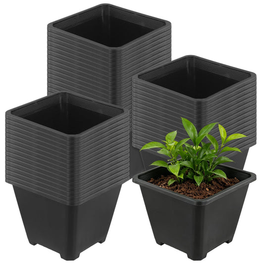 HAKZEON 50 PCS 5.5 Inch Square Nursery Pots, Black Plastic Plant Pot with Drainage Holes, Small Seed Starting Pots for Flower Planter Seedlings, Succulents