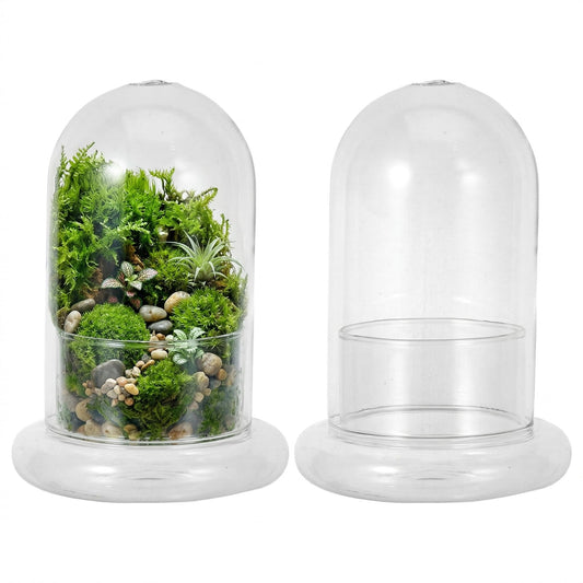 DOITOOL Micro Landscape Ecological Bottle Terrarium Jar 2 Pack High Borosilicate Glass Planter for Home Office Desk Decor 6.69X4.72X4.72In