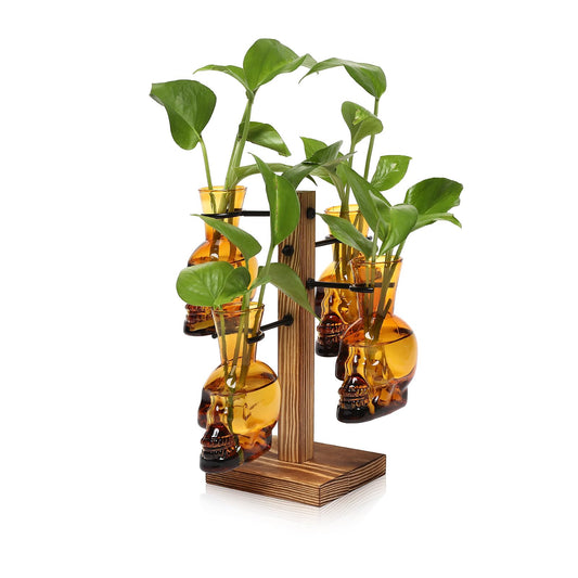 Plants Propagation Stations Skull Glass Propagation Birthday Gift for Women Garden Plant Lovers - 4 Skull