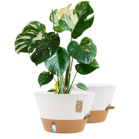 FIASON 12 Inch Self Watering Pot with Visual Water Window, Drainage Holes & Watering Lip, Set of 2 Large Plastic Planters for Indoor Outdoor Plants, Modern Decorative Flower Pot (White)
