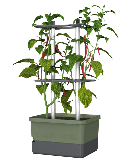 BUZZY Seeds Charly Chili Self-Watering Planter with Vertical Trellis – 1.2 Gal Reservoir, Large Capacity Planter for Chili Peppers, Bell Peppers & Eggplants (Green)