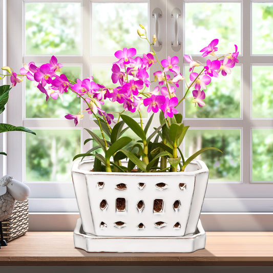 Teenyyou 1 Set Orchid Pot with Holes 7 Inch Ceramic Orchid Pot with Saucers for Repotting Amaryllis Flower Planter Include Gardening Shovel Set and Gloves for Home Decor(White)
